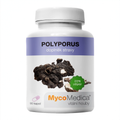 MycoMedica Polyporus 90 pflanzliche Kapseln