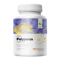 MycoMedica Polyporus PRO 90 pflanzliche Kapseln